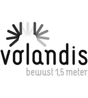 Logo Volandis